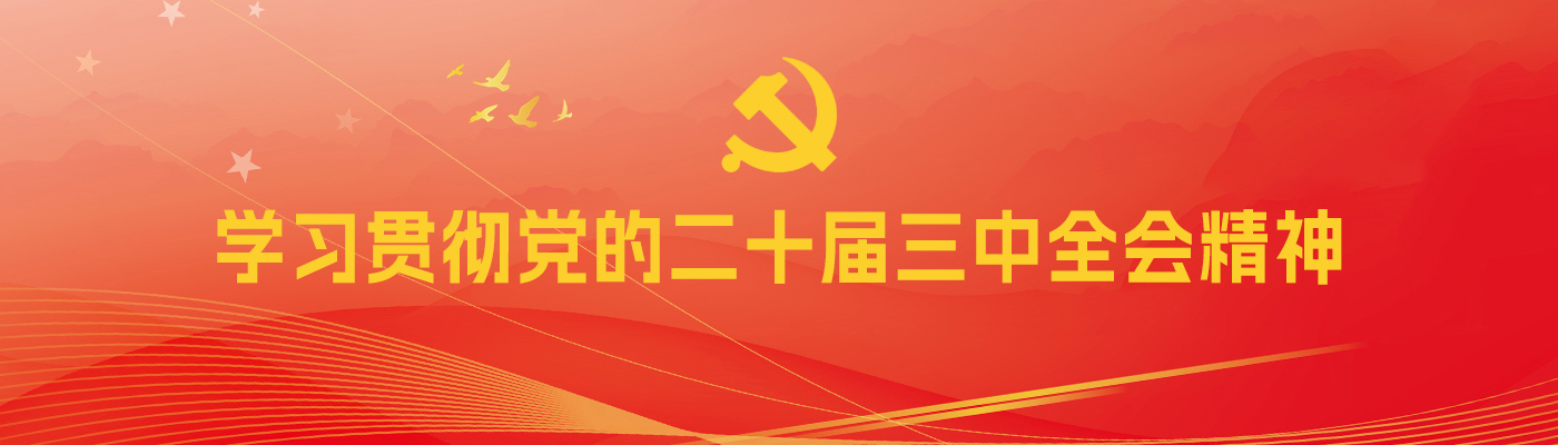 学习贯彻党的二十届三中全会精神